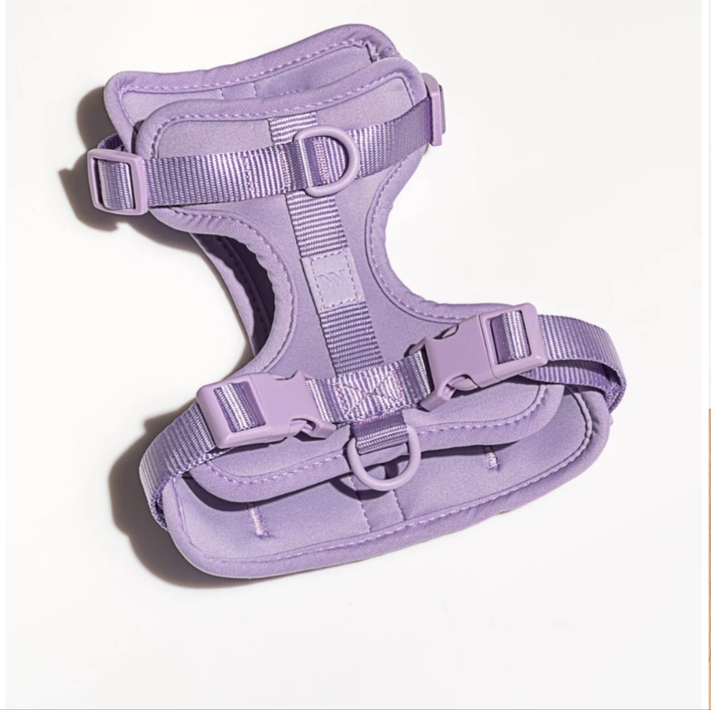 Wild One Dog Harness S